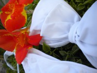 Art. 4: Bikini "Cocot" strapless armado con moño y cola less